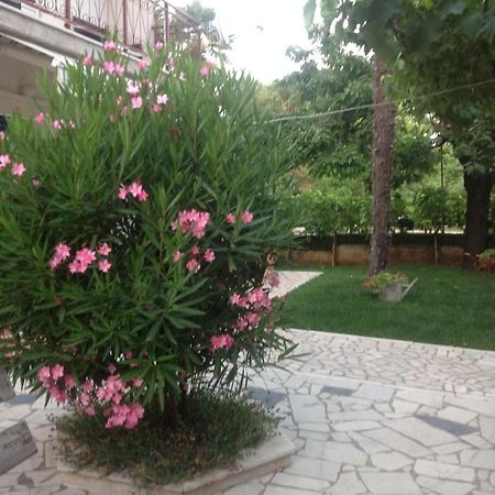 Vila Alma Poreč Kültér fotó