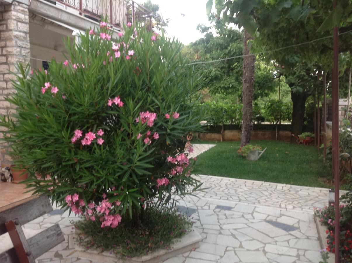 Vila Alma Poreč Kültér fotó